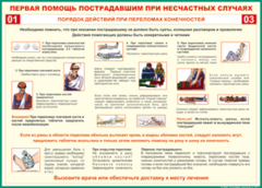 Таблица "Порядок действий при переломах конечностей" (100х140 сантиметров, винил) - fgospostavki.ru - Москва