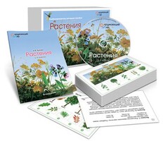 Комбинированное наглядное пособие «Растения» - fgospostavki.ru - Москва
