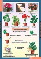 Комплект таблиц. Окружающий мир 1 класс. - fgospostavki.ru - Москва