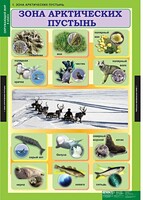 Комплект таблиц. Окружающий мир 4 класс. - fgospostavki.ru - Москва