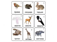 Набор магнитных карточек по музыке "Животные" (9 штук) - fgospostavki.ru - Москва