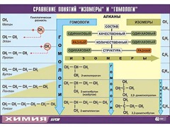 Таблица демонстрационная "Сравнение понятий изомер и гомолог" (винил 70x100) - fgospostavki.ru - Москва