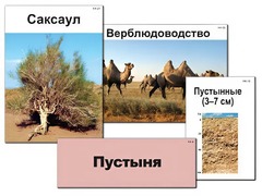 Модель-аппликация "Природные зоны России" (ламинированная) - fgospostavki.ru - Москва