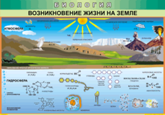 Таблица "Возникновение жизни на земле" (100х140 сантиметров, винил) - fgospostavki.ru - Москва