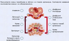 Интерактивные курсы. Биология 9 класс. Расширенный. - fgospostavki.ru - Москва