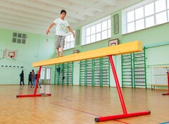 Бревно гимнастическое напольное постоянной высоты (700 мм) (5 м) - fgospostavki.ru - Москва