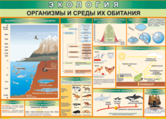 Таблица "Организмы и среды их обитания" (100х140 сантиметров, винил) - fgospostavki.ru - Москва