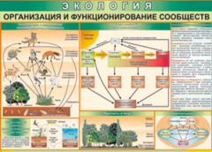 Таблица "Организация и функционирование сообществ" (100х140 сантиметров, винил) - fgospostavki.ru - Москва