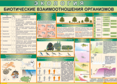 Таблица "Биотические взаимоотношения организмов" (100х140 сантиметров, винил) - fgospostavki.ru - Москва