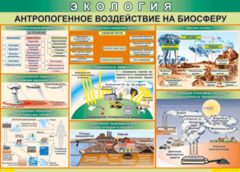 Таблица "Антропогенное воздействие на биосферу" (100х140 сантиметров, винил) - fgospostavki.ru - Москва
