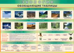 Таблица "Экология. Обобщающие таблицы" (100х140 сантиметров, винил) - fgospostavki.ru - Москва