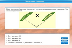 Интерактивные курсы. Биология 11 класс. Базовый. - fgospostavki.ru - Москва