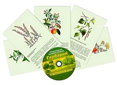 Интерактивный наглядный комплекс "Гербарий "Для начальной школы" - fgospostavki.ru - Москва