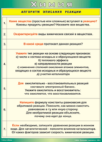 Таблица "Алгоритм описания реакции" (100х140 сантиметров, винил) - fgospostavki.ru - Москва