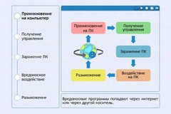 Интерактивные курсы. Информатика 10 класс . Базовый. - fgospostavki.ru - Москва