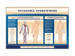 Электрифицированный стенд-тренажер "Остановка кровотечения" - fgospostavki.ru - Москва