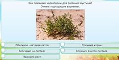 Интерактивные курсы. Окружающий мир 3 класс . Базовый. - fgospostavki.ru - Москва