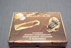 Коллекция "Формы сохранности ископаемых растений и животных" - fgospostavki.ru - Москва