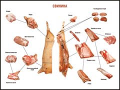 Таблица "Правила разделки мясных туш. Свинина" (100х140 сантиметров. винил) - fgospostavki.ru - Москва