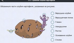 Интерактивные курсы. Биология 6 класс. Расширенный - fgospostavki.ru - Москва