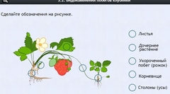Интерактивные курсы. Биология 7 класс. Расширенный. - fgospostavki.ru - Москва