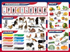Стенд "Цвета, животные, профессии, фрукты, овощи" - fgospostavki.ru - Москва