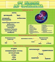 Стенд "От клетки до организма" - fgospostavki.ru - Москва