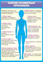 Стенд "Снятие мерок" Вариант 2 - fgospostavki.ru - Москва