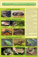 Стенд "Класс земноводные" - fgospostavki.ru - Москва