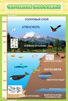 Стенд "Строение биосферы" - fgospostavki.ru - Москва