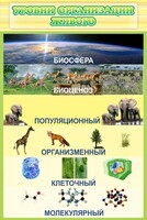 Стенд "Уровни организации живого" - fgospostavki.ru - Москва