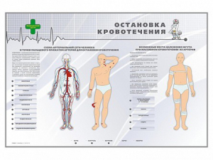 Электрифицированный стенд "Остановка кровотечения" - fgospostavki.ru - Москва