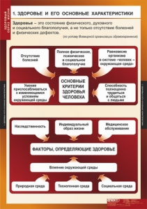 Комплект таблиц. ОБЖ. Здоровый образ жизни. - fgospostavki.ru - Москва