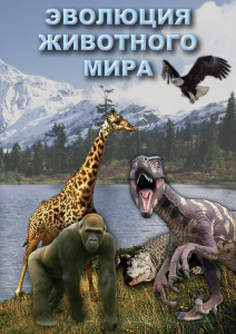 DVD "Эволюция животного мира" - fgospostavki.ru - Москва