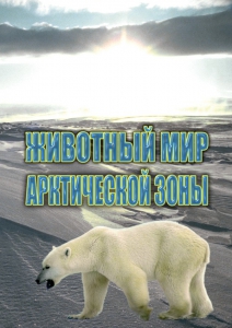 DVD "Животный мир Арктической зоны" - fgospostavki.ru - Москва