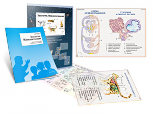 Комплект кодотранспарантов "Зоология. Млекопитающие" - fgospostavki.ru - Москва