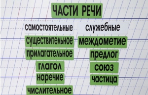 Набор магнитных карточек "Части речи" (фон зелёный) - fgospostavki.ru - Москва