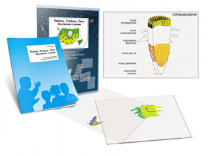 Комплект кодотранспарантов "Корень. Стебель. Лист (Внутреннее строение)" - fgospostavki.ru - Москва