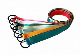 Лента гимнастическая на кольце (1 метр) - fgospostavki.ru - Москва