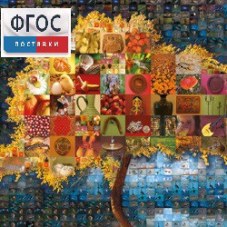 Начальная школа. Иностранный язык. (Цифровая база изображений) - fgospostavki.ru - Москва