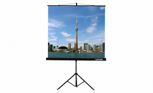 Проекционный экран на штативе Lumien Eco View (LEV-100105) 160x160 см - fgospostavki.ru - Москва