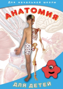 DVD "Анатомия для детей" - fgospostavki.ru - Москва
