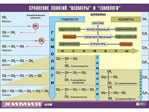 Таблица демонстрационная "Сравнение понятий изомер и гомолог" (винил 100x140) - fgospostavki.ru - Москва