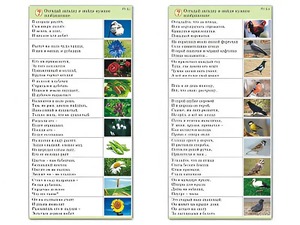 Комплект карточек (10) "Обучающий калейдоскоп. Природа" - fgospostavki.ru - Москва