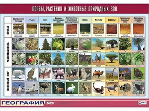 Таблица демонстрационная "Почвы, растения и животные природных зон" (винил 70*100) - fgospostavki.ru - Москва