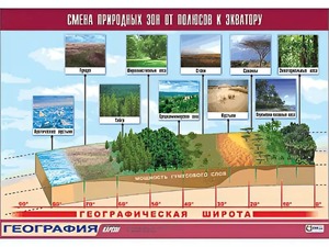 Таблица демонстрационная "Смена природных зон от полюсов к экватору" (винил 100*140) - fgospostavki.ru - Москва