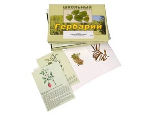 Гербарий "Для начальной школы" (30 видов, с иллюстрациями) - fgospostavki.ru - Москва