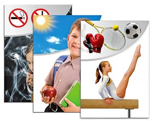 Модель-аппликация "Здоровье человека" - fgospostavki.ru - Москва