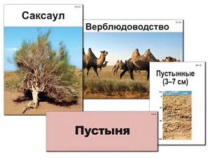 Модель-аппликация "Природные зоны России" (ламинированная) - fgospostavki.ru - Москва