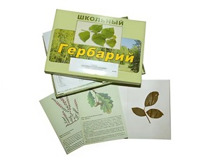 Гербарий "Дикорастущие растения" (30 видов, с иллюстрациями) - fgospostavki.ru - Москва